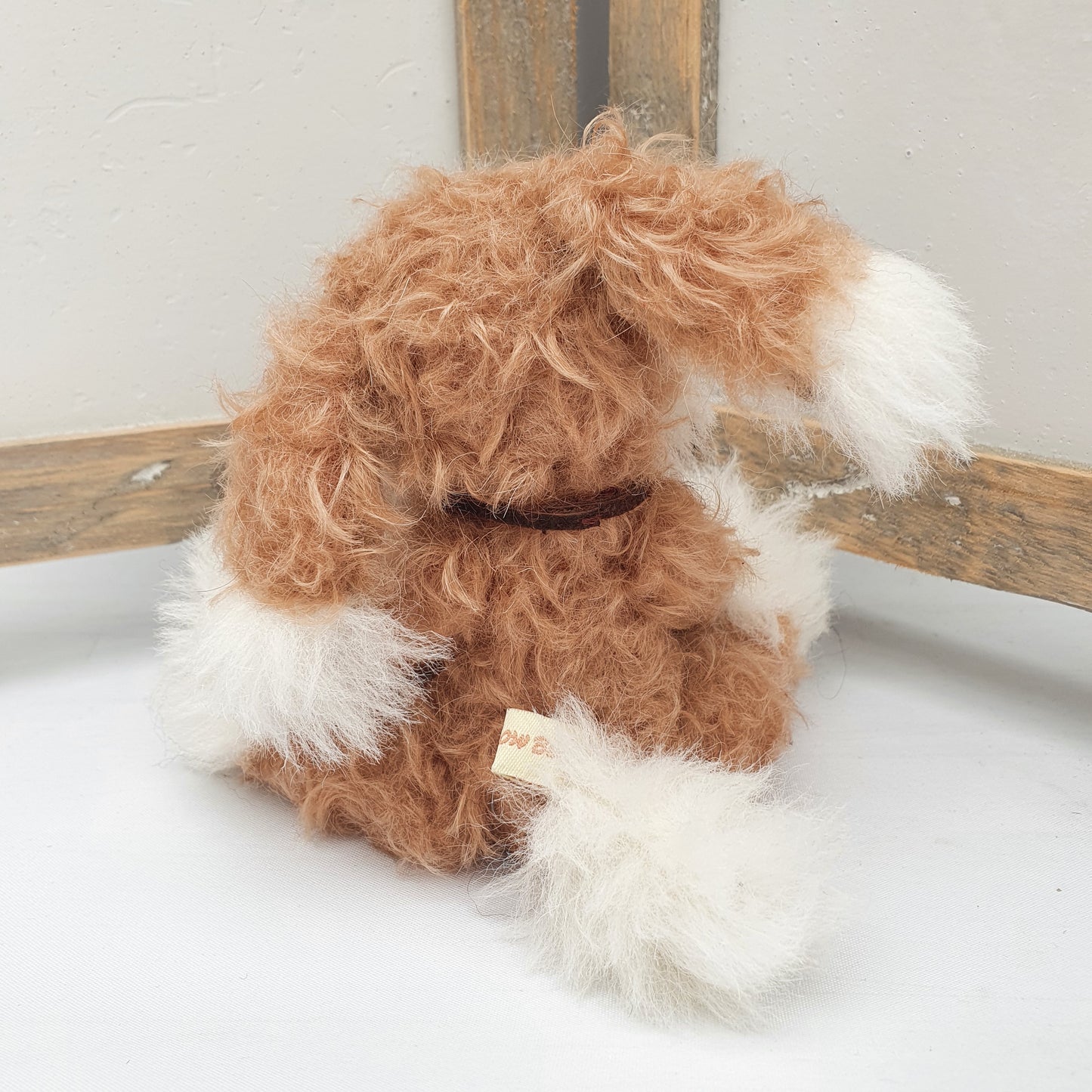PUPSY the DOG