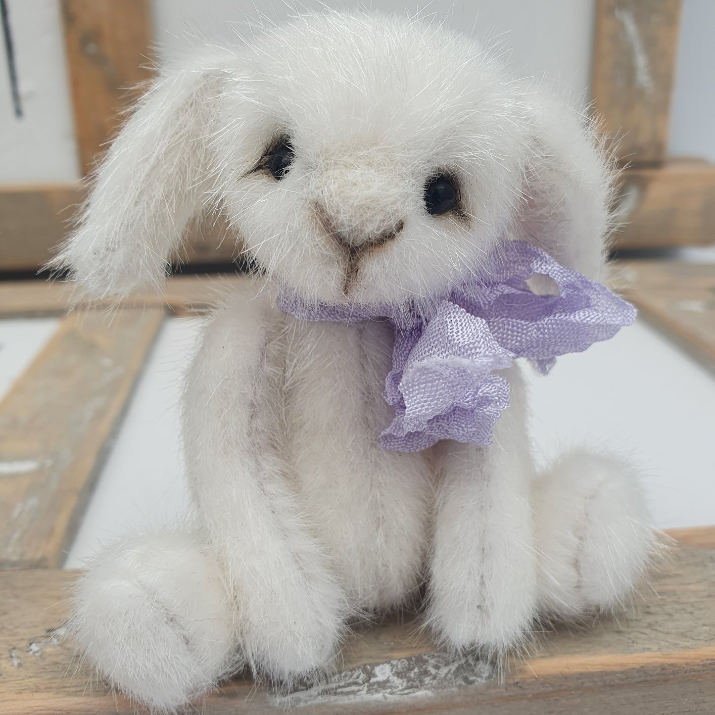 MINI BUNNY