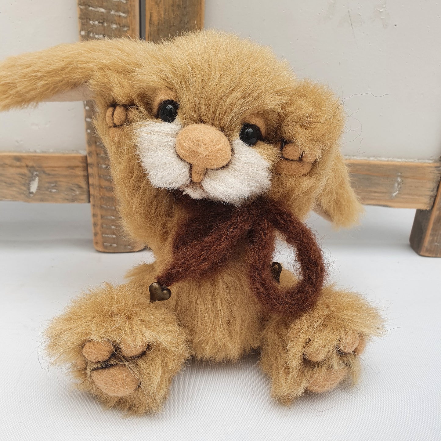 BUNNY TOFFOLO