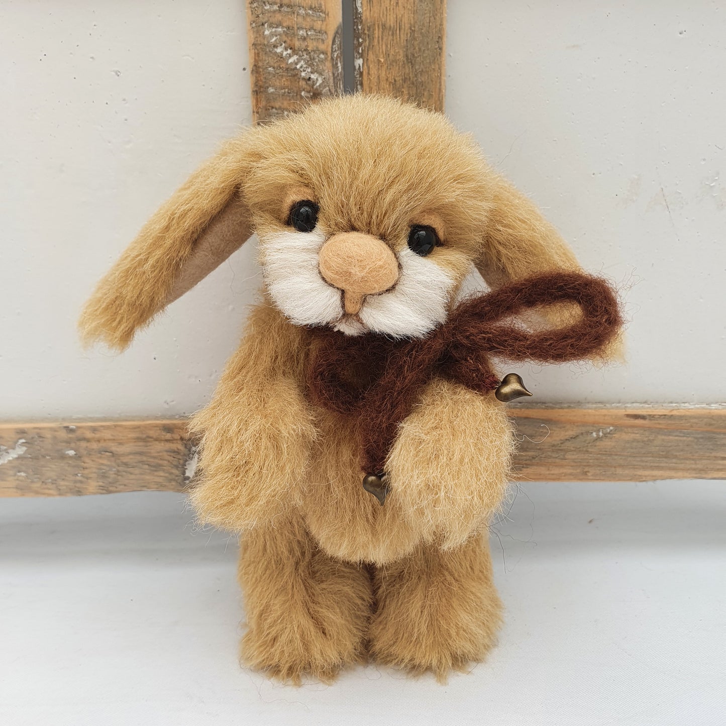 BUNNY TOFFOLO