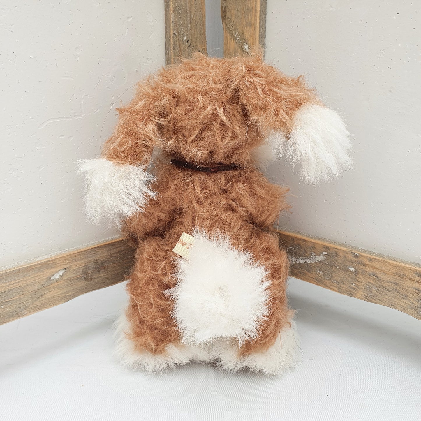 PUPSY the DOG