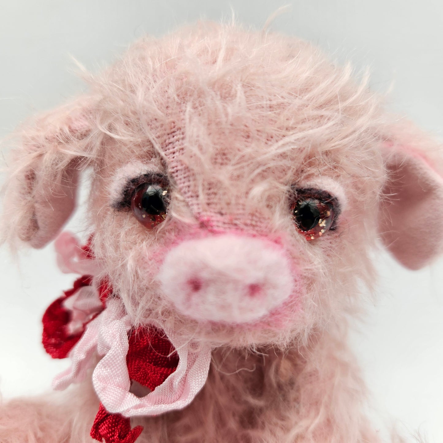 CUPIG the PIG