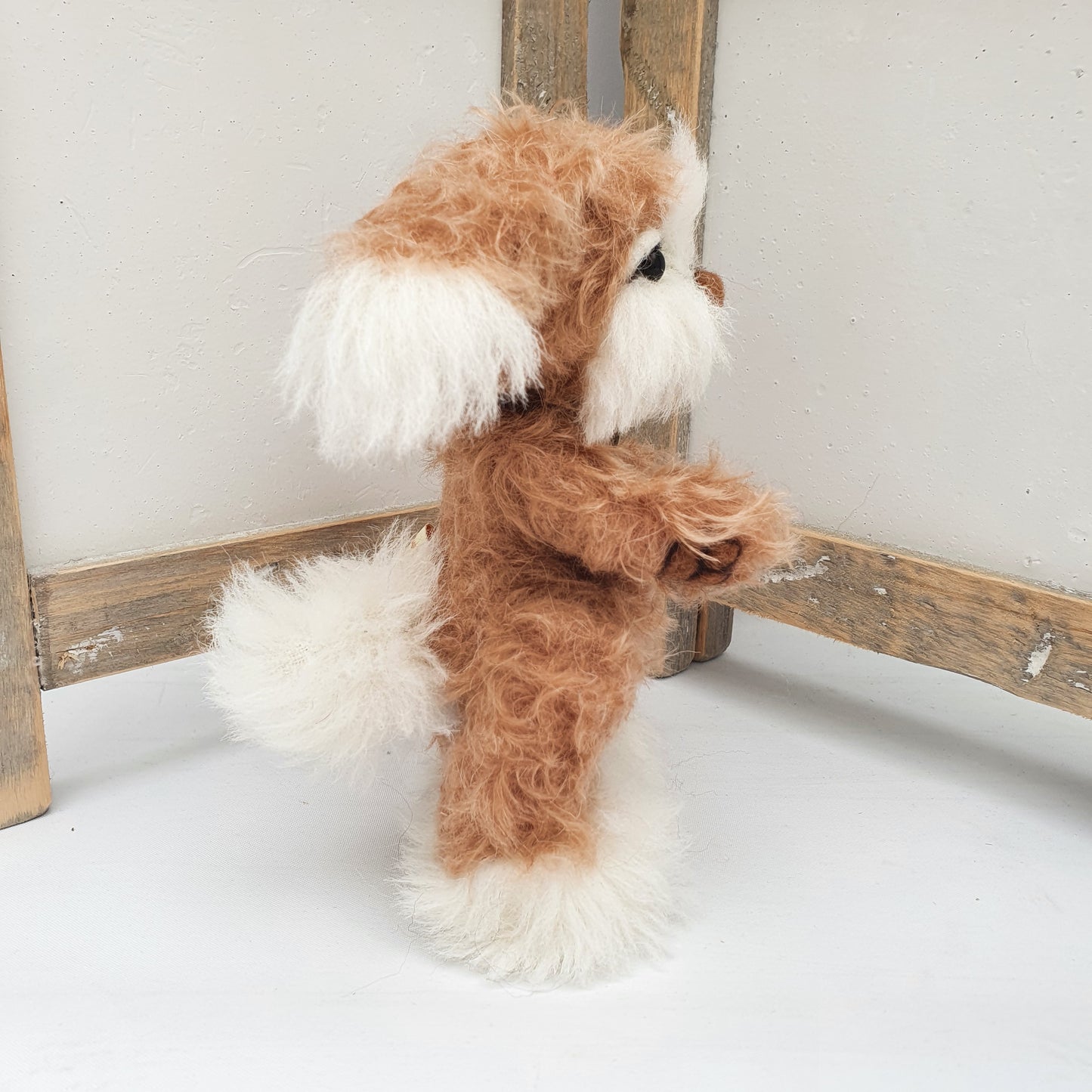 PUPSY the DOG