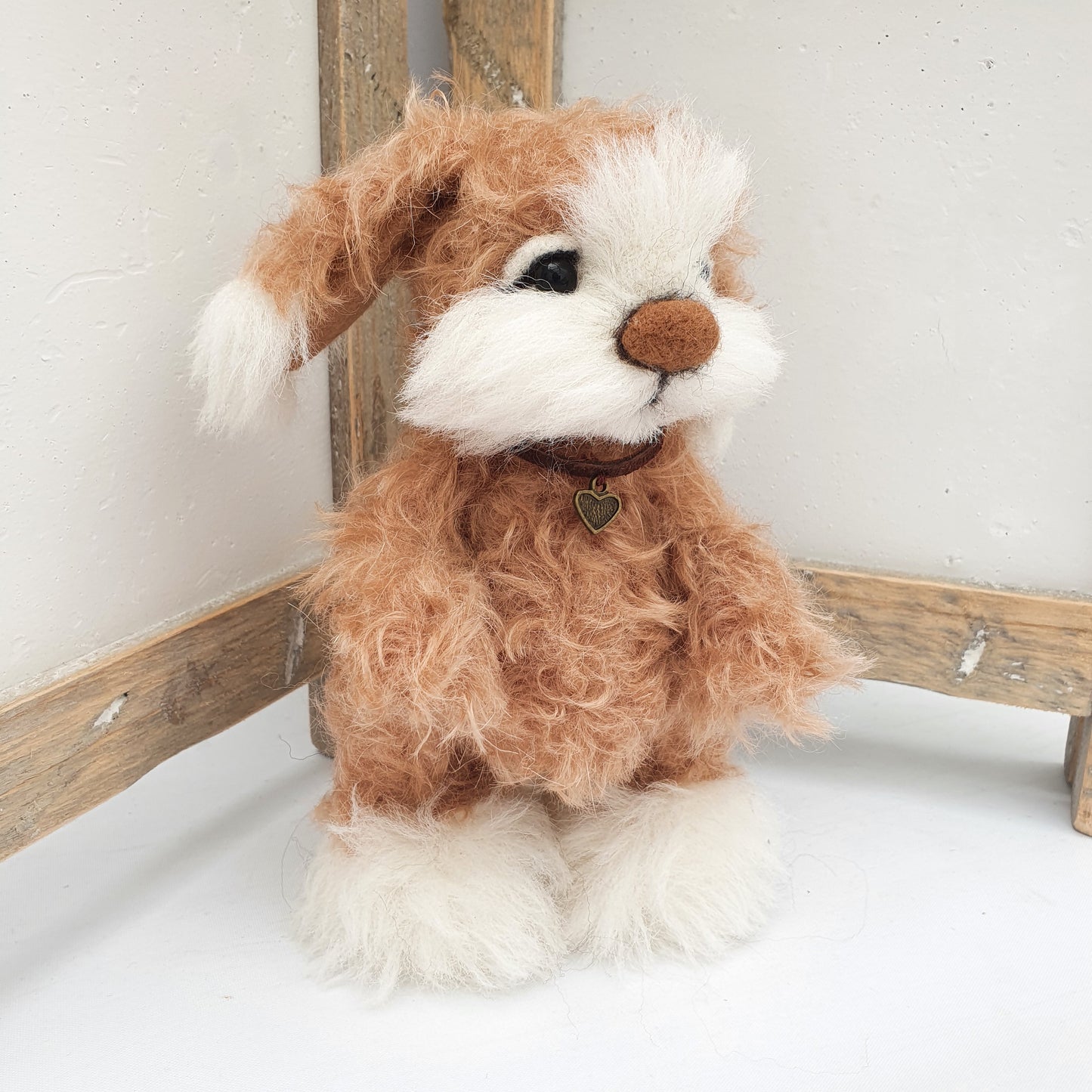 PUPSY the DOG
