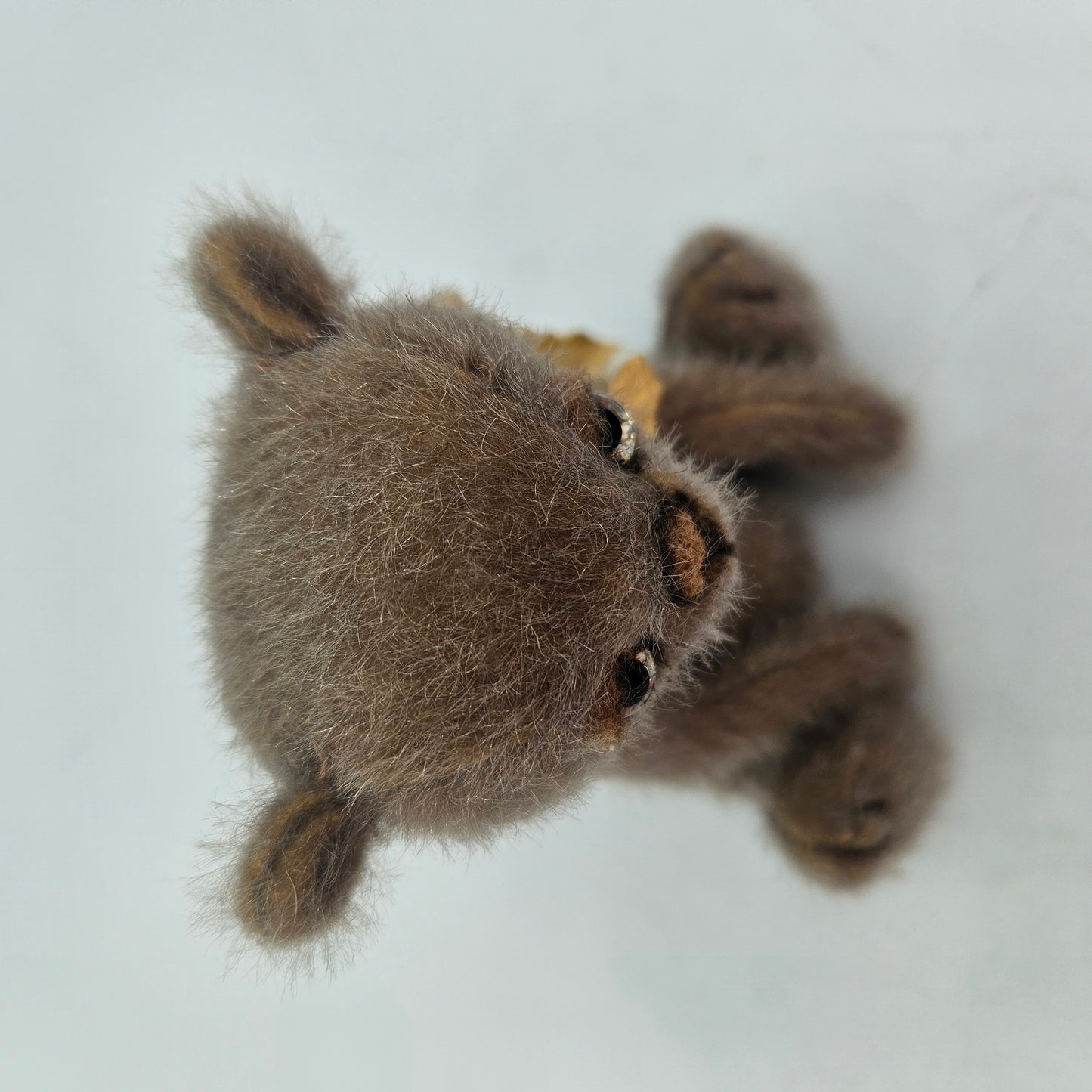 TED Bear