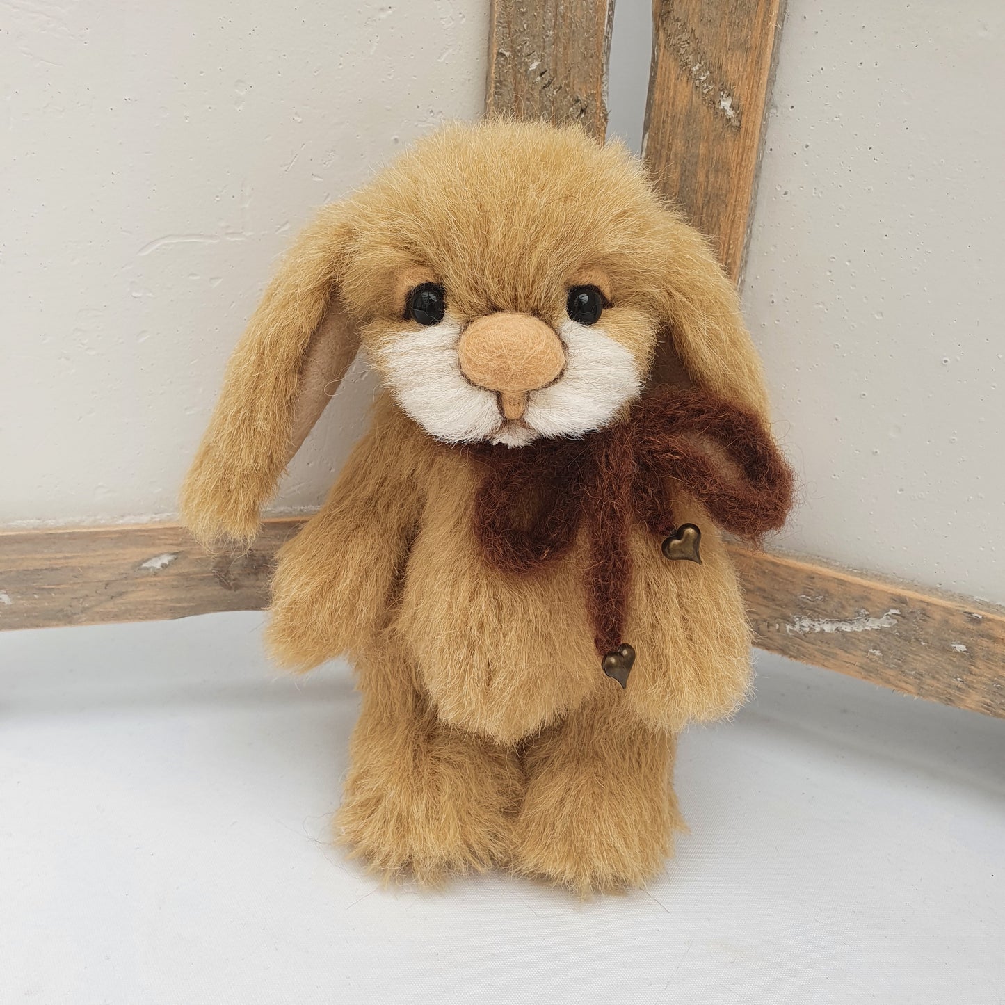 BUNNY TOFFOLO