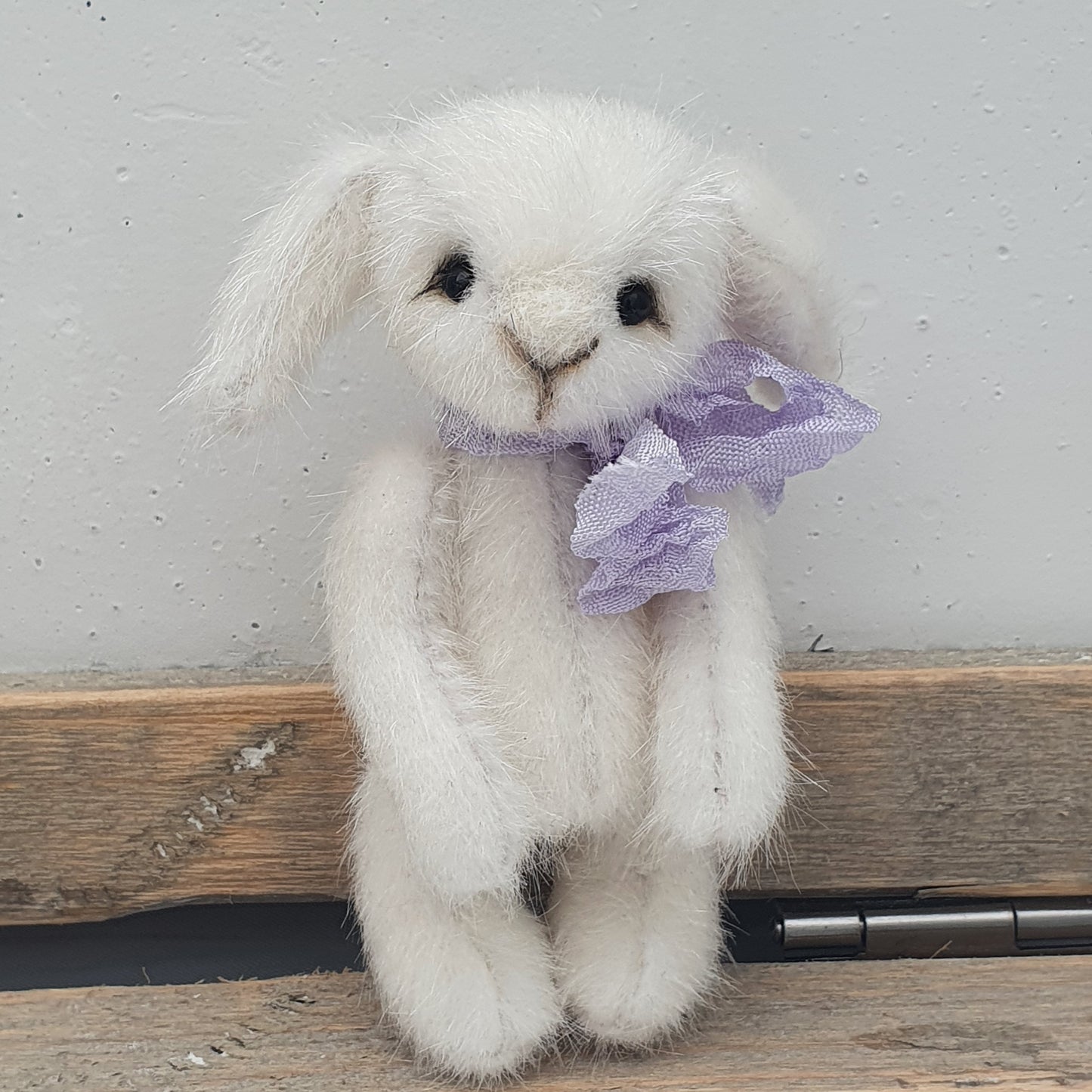 MINI BUNNY