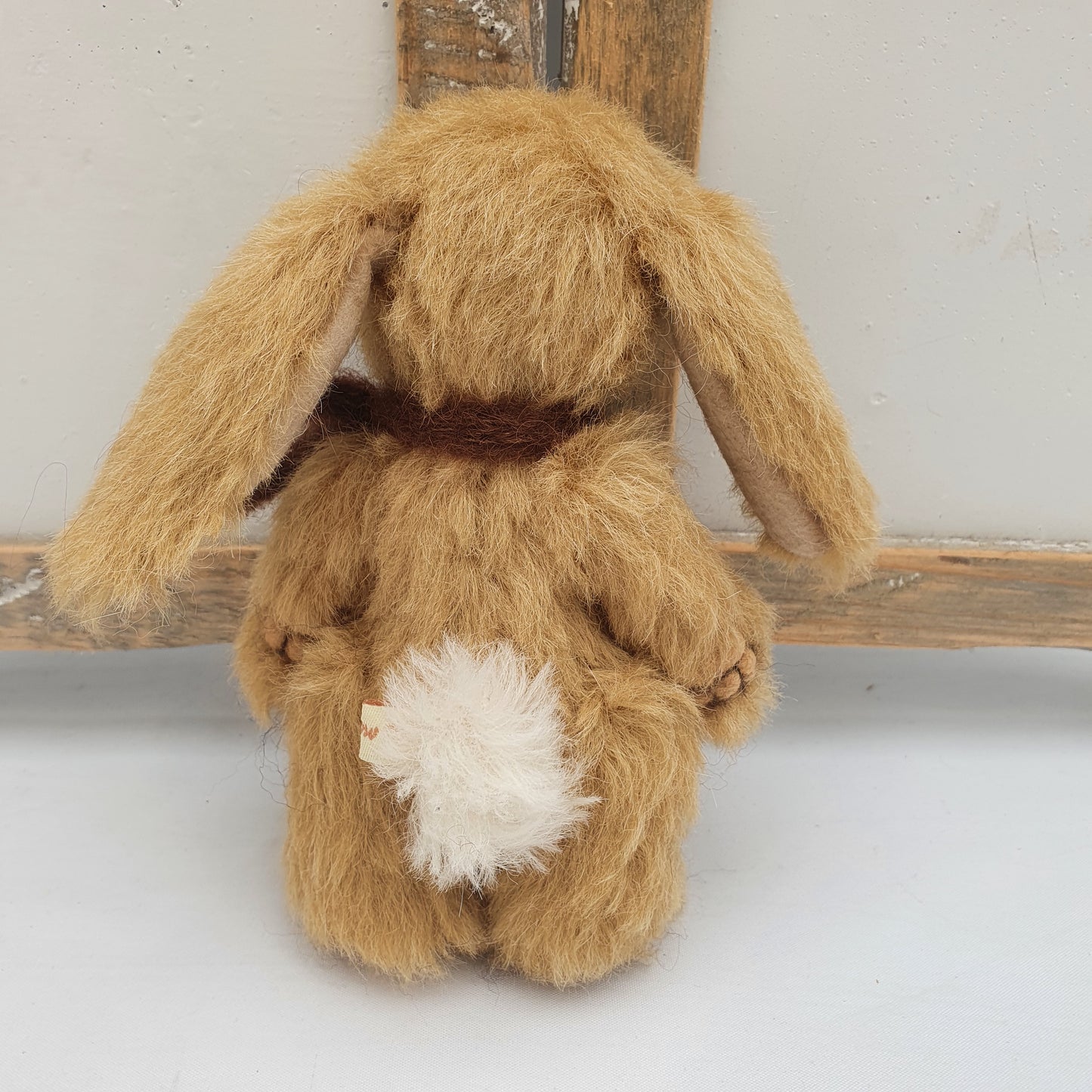 BUNNY TOFFOLO