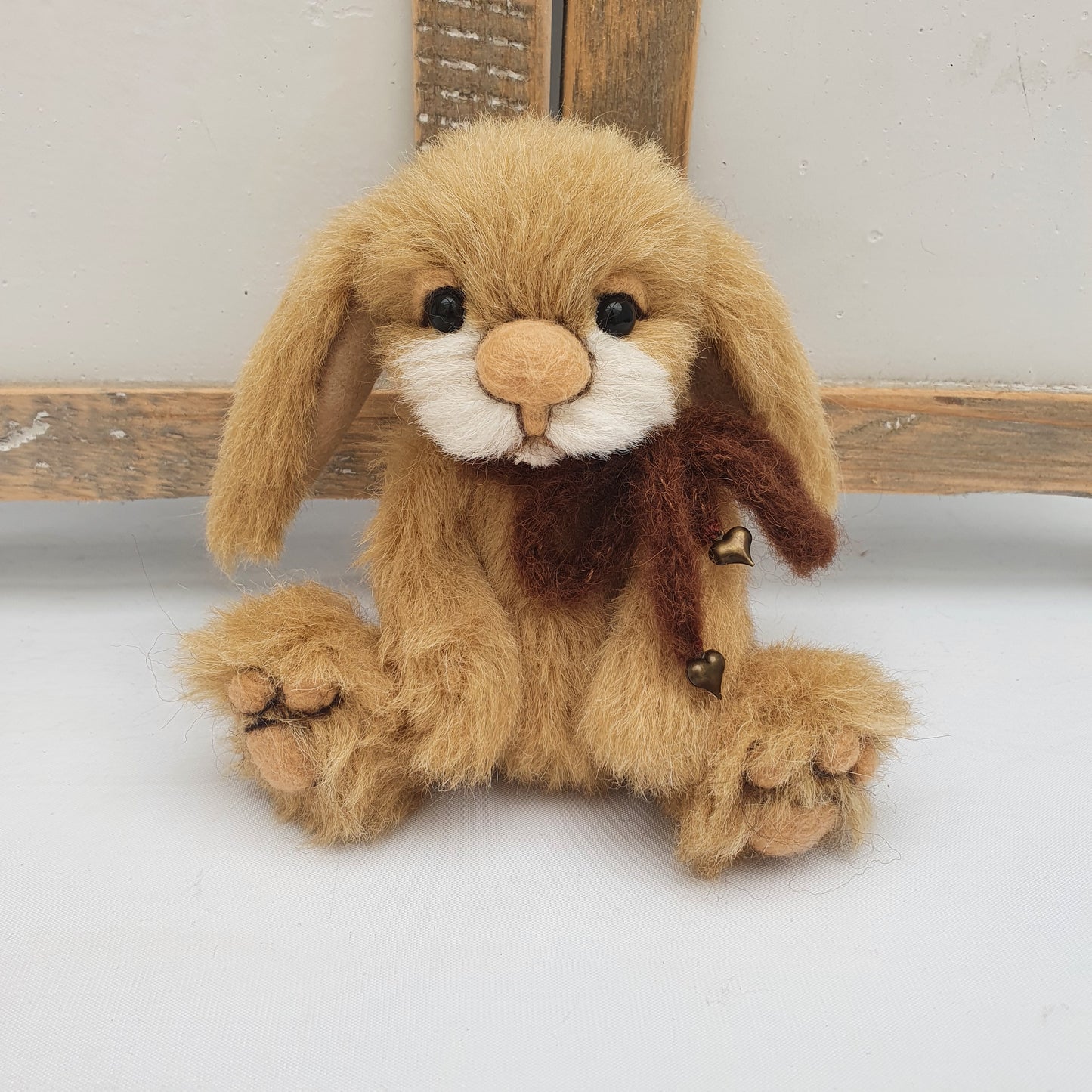 BUNNY TOFFOLO