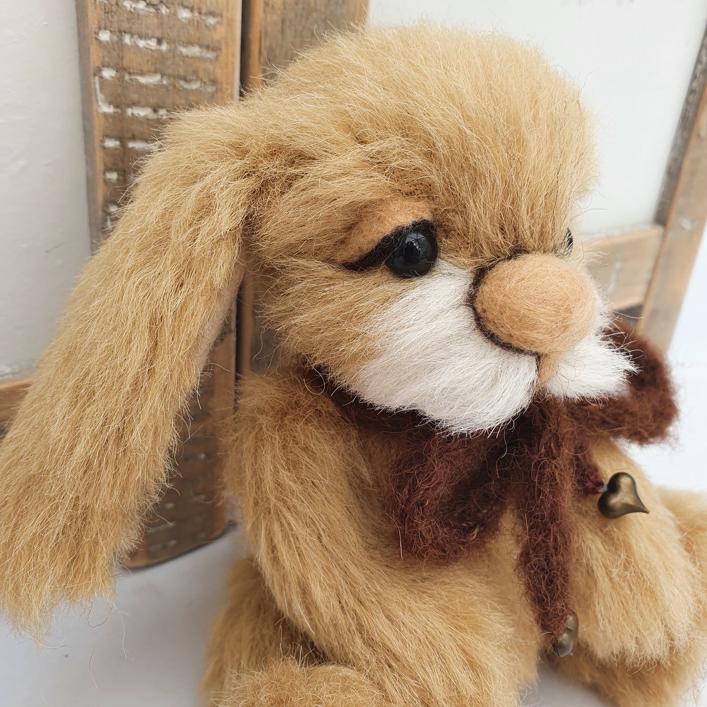 BUNNY TOFFOLO