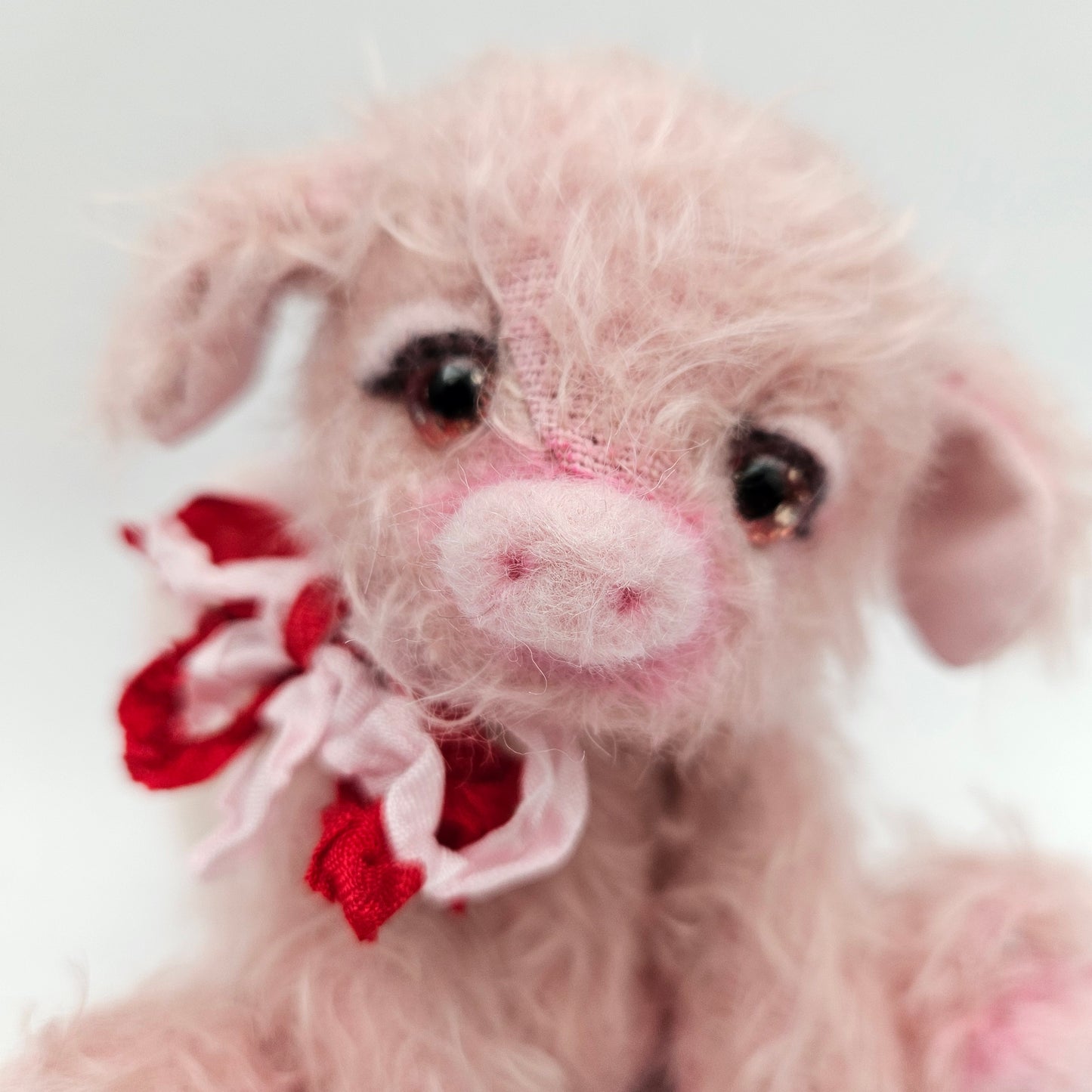 CUPIG the PIG