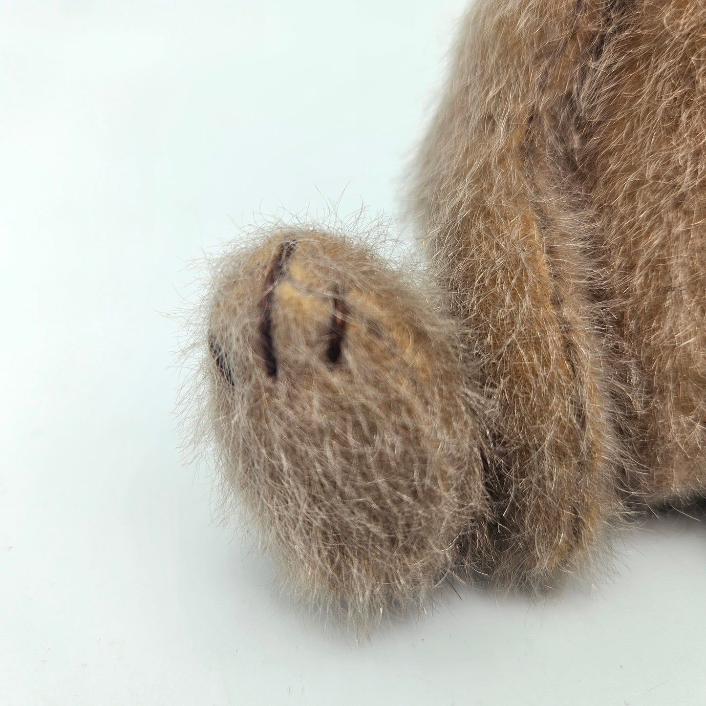 TED Bear